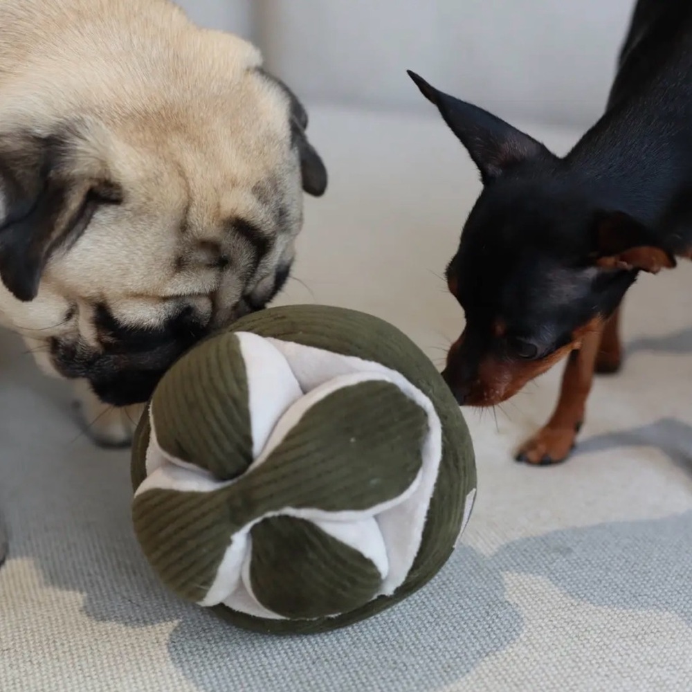 Mint Green The Monti Enrinchment Dog Toy NWT - Picture 3 of 8
